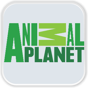 Animal Planet FHD